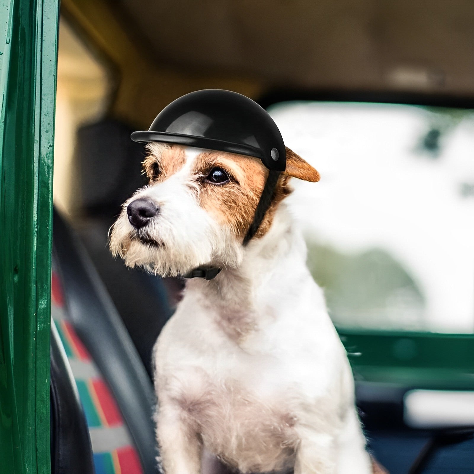 Motorcycle Helmet and Goggles for Dogs