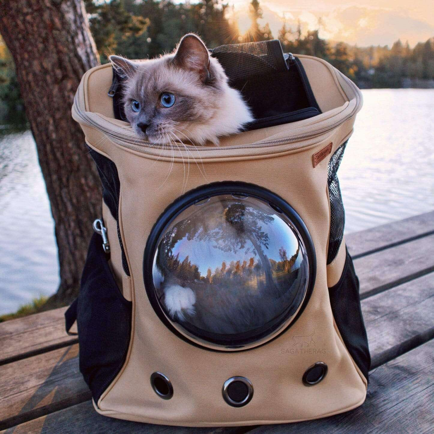 Larger Cats Travel Backpack, Ideal for On-The-Go Cats