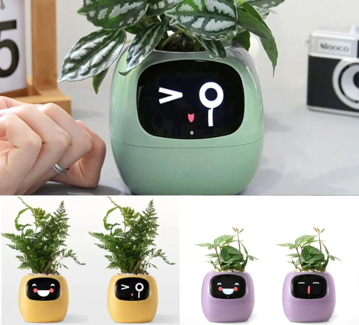 smart planter Ivy's Smart Planter: 49 Expressions & AI Sensors for Plant Care – orntli