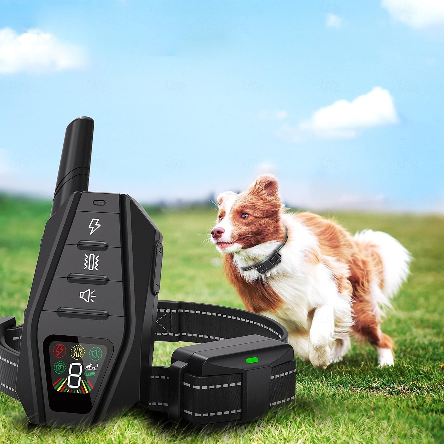 Fortgeschrittenes Hundetrainingshalsband mit Fernbedienung orntli Fortgeschrittenes Hundetrainingshalsband mit Fernbedienung orntli