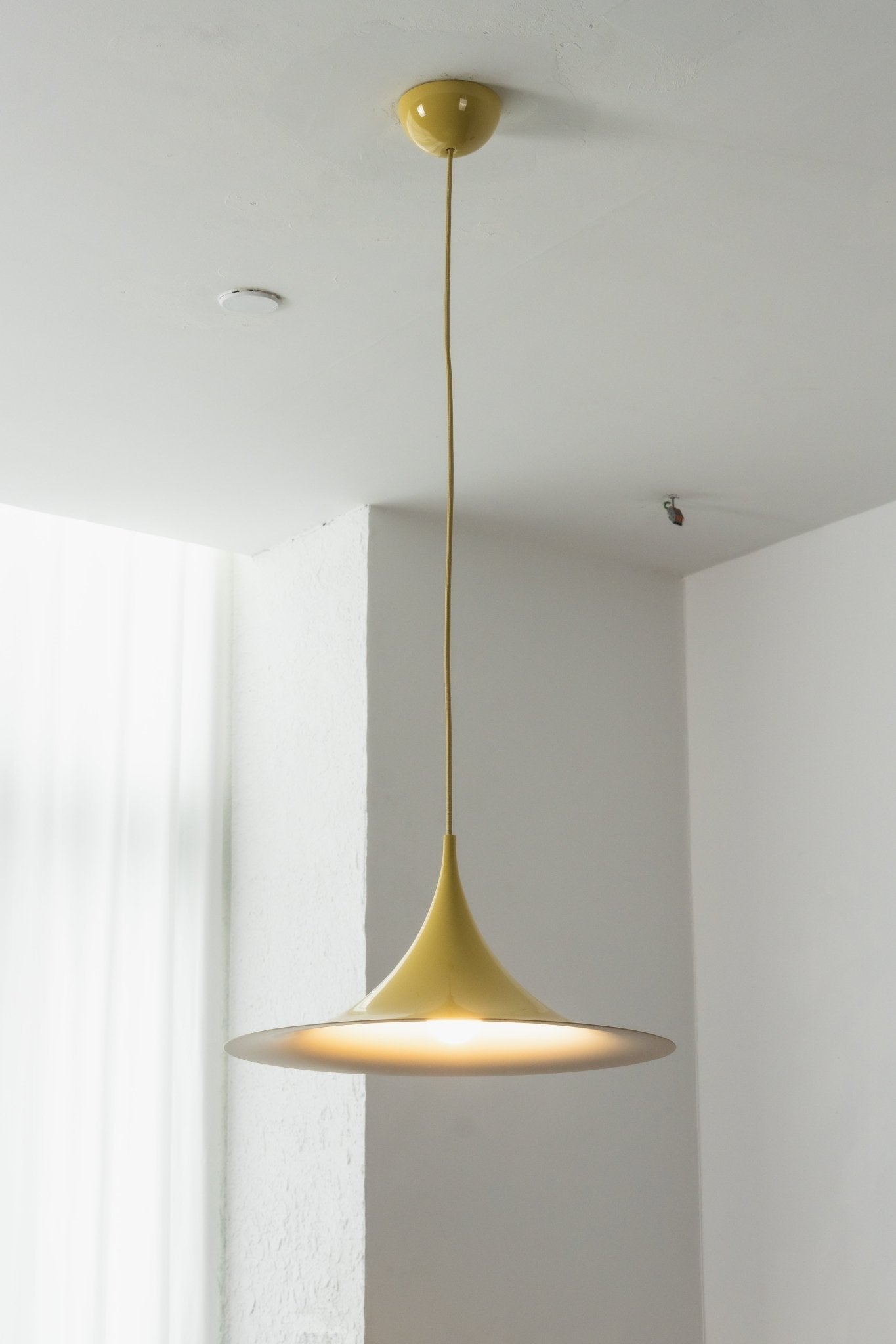 Semi Arched Pendant Light