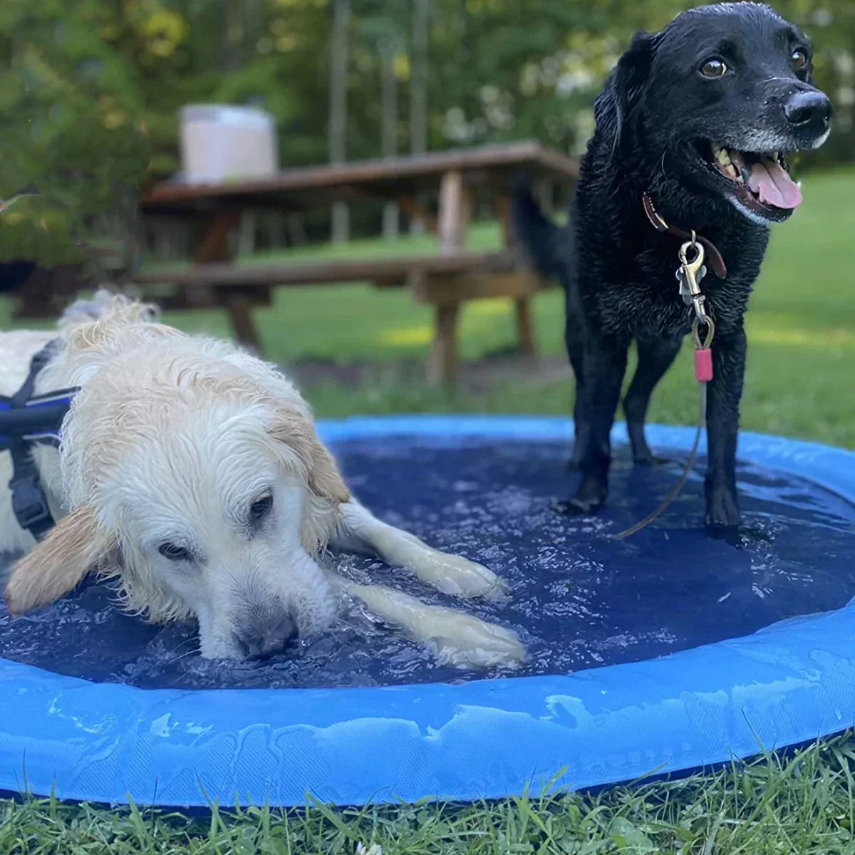 Il Tappetino Irrigatore Gonfiabile per Animali Domestici e Cani