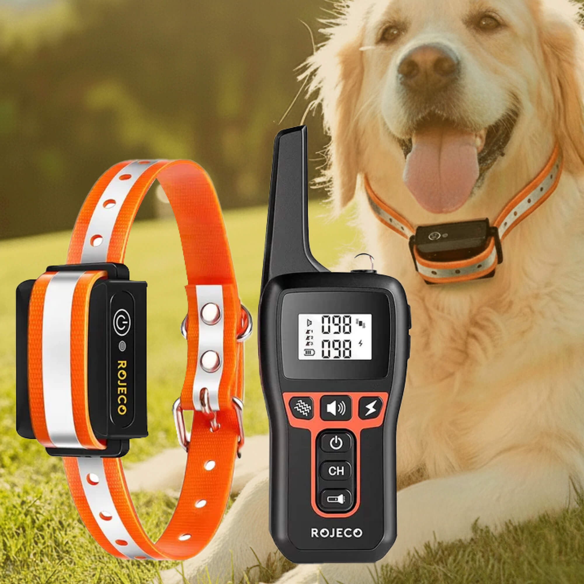 NovaPaw 1000m wasserdichtes Hundetrainingshalsband mit wiederaufladbarer Fernbedienung und verstellbar