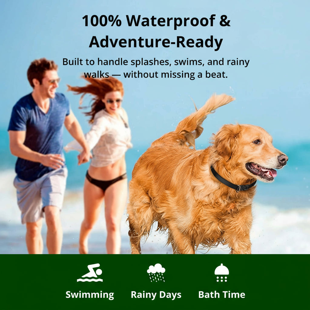 NovaPaw 1000m wasserdichtes Hundetrainingshalsband mit wiederaufladbarer Fernbedienung und verstellbar