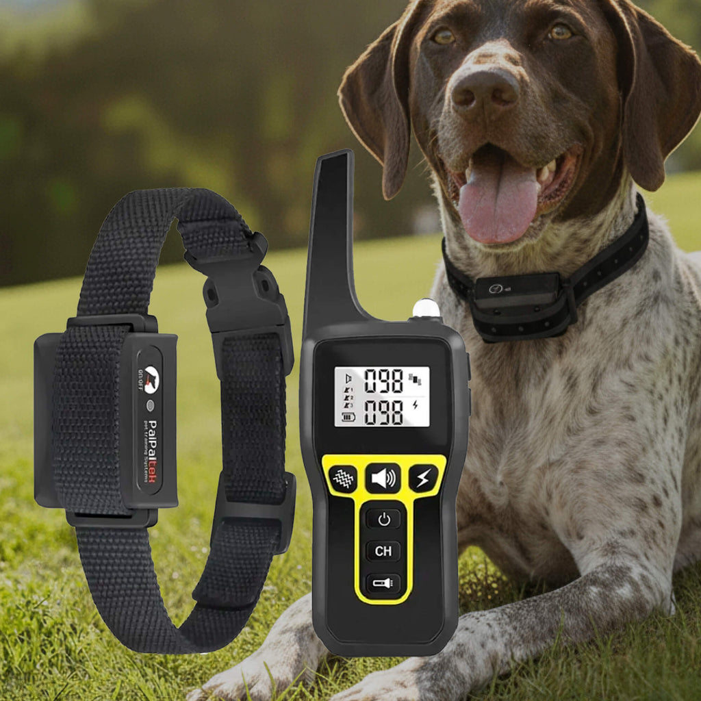 NovaPaw 1000m wasserdichtes Hundetrainingshalsband mit wiederaufladbarer Fernbedienung und verstellbar