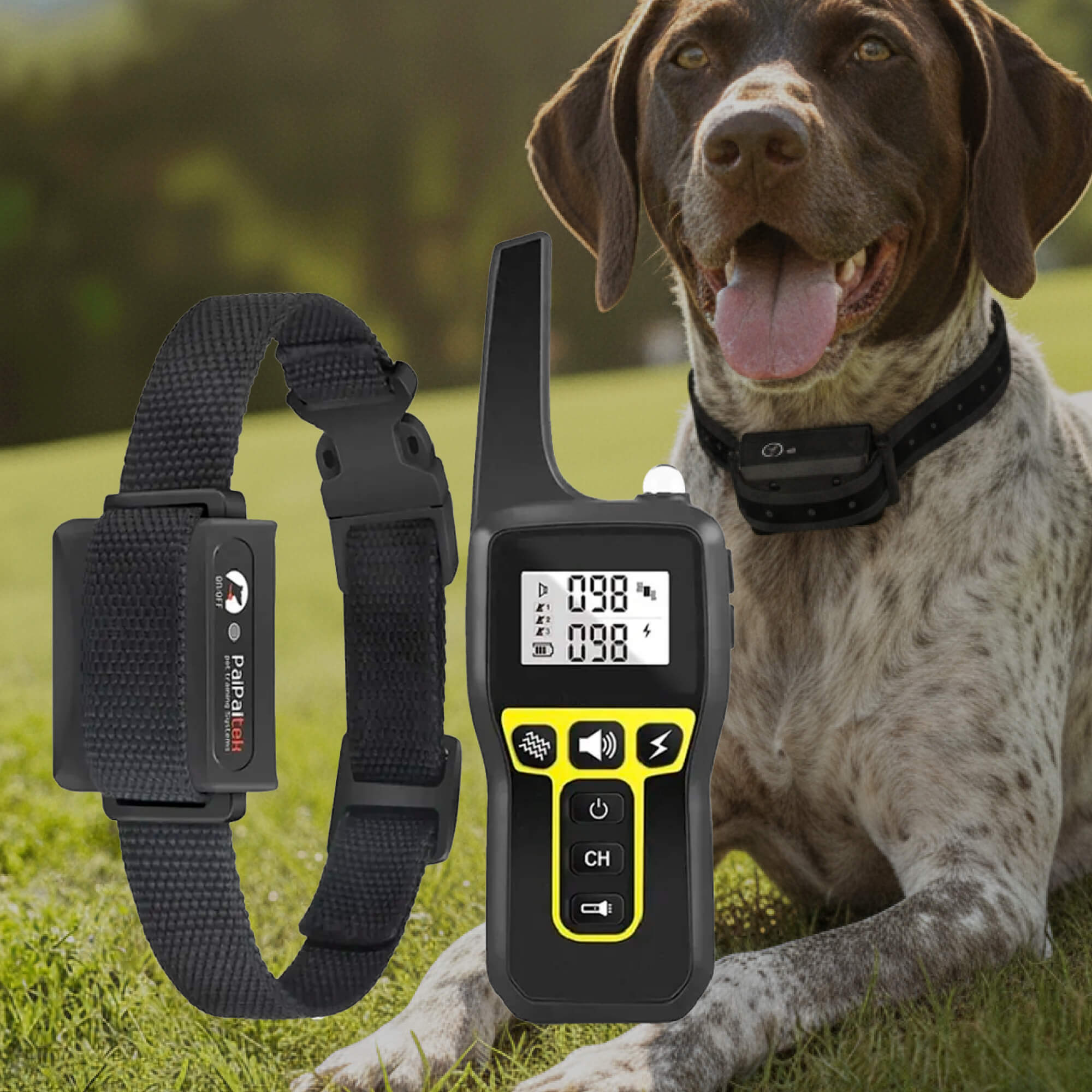 NovaPaw 1000m wasserdichtes Hundetrainingshalsband mit wiederaufladbarer Fernbedienung und verstellbar