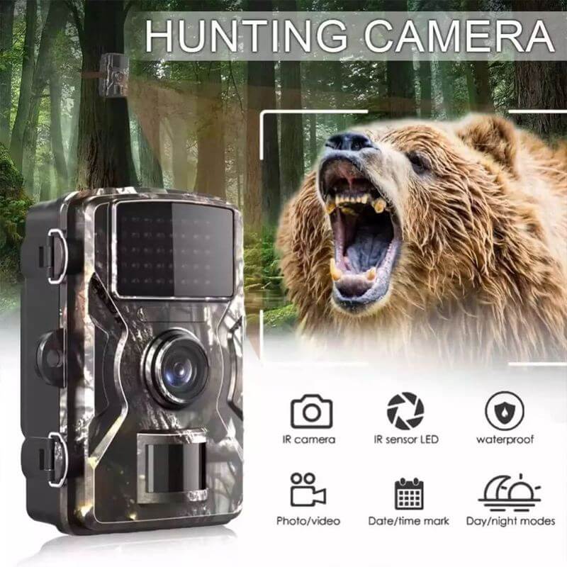 Telecamera per Animali Selvatici da Esterno con Visione Notturna