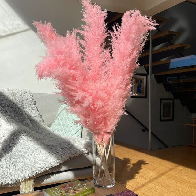 BohoBliss - Szárított pampafű