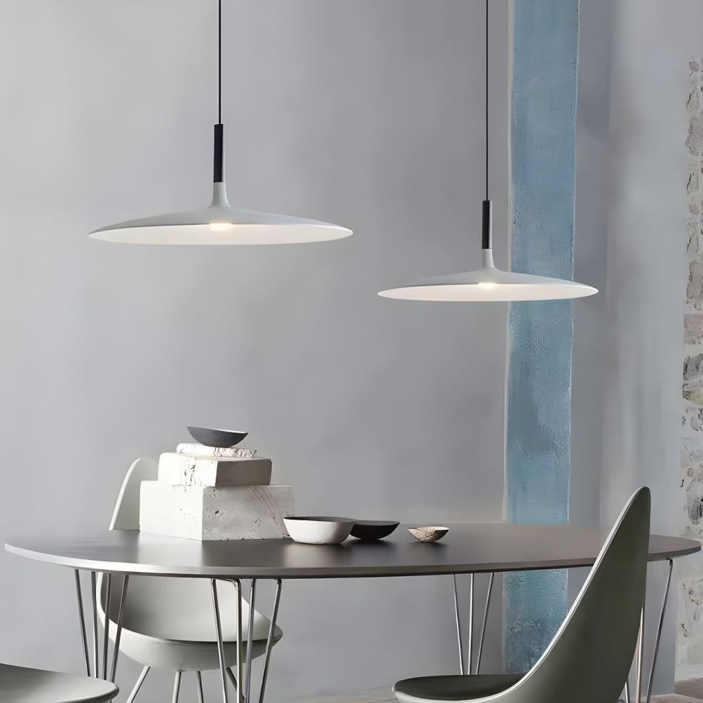 Aplomb Contemporary Metal Ceiling Pendant Lamp