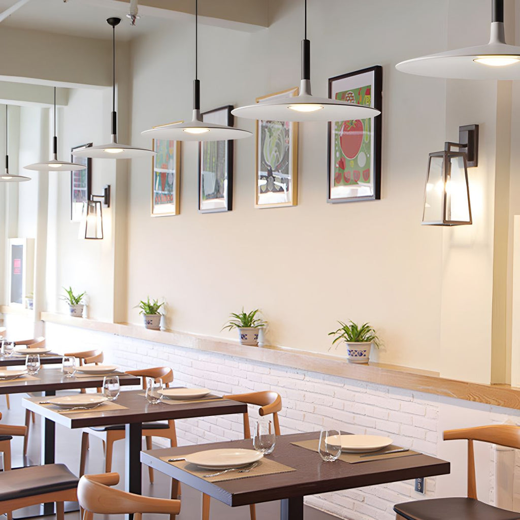 Aplomb Contemporary Metal Ceiling Pendant Lamp