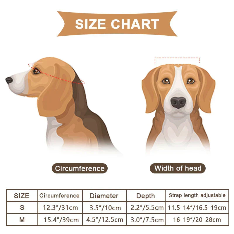 Motoros sisak és szemüveg kutyáknak | Divatos és biztonságos