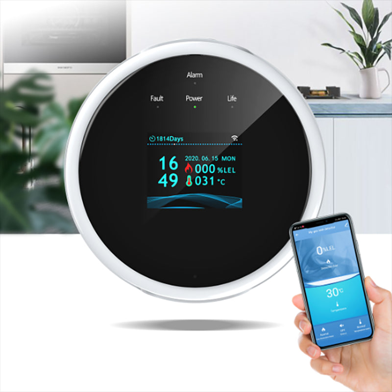 HomeSafe Sentinel: Combustible Gas Detectors With Alarm And LCD Display
