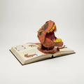 3D-Pop-up-Buch Dinosaurier für junge Leser und Dinosaurierfans
