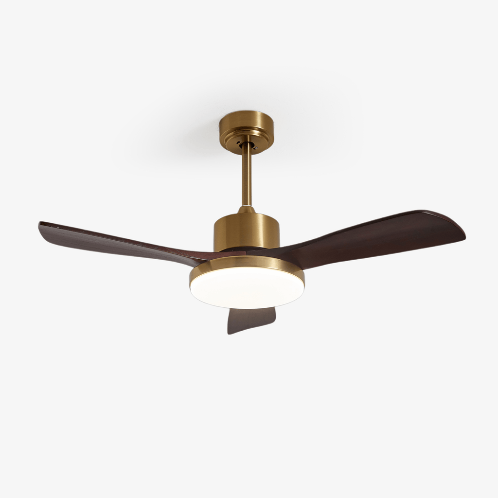 Aurevo Ceiling Fan Light Fixture