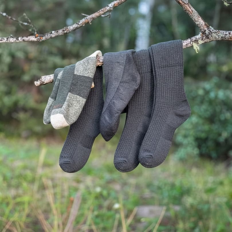 Several alpaca socks drying on a branch outdoors