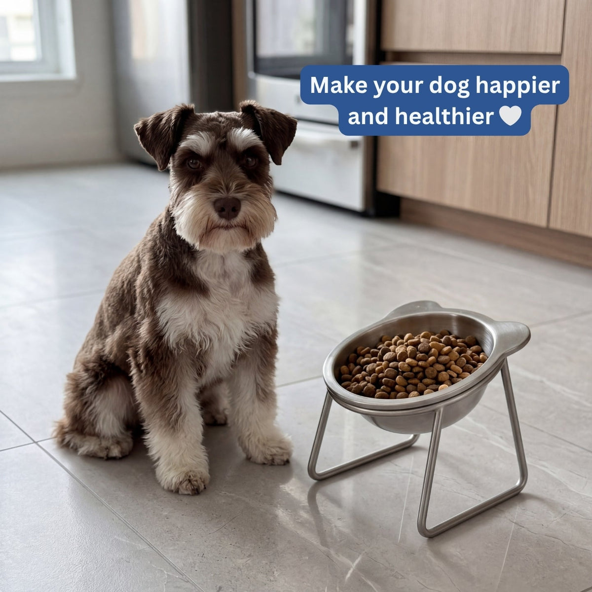 Upphöjd lutande hundskål med ställ – rostfritt stål, 15° vinkel, skonsam mot morrhåren