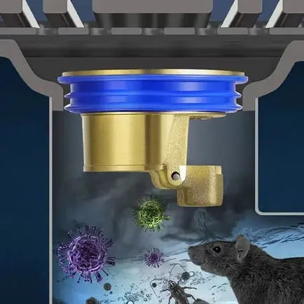 Noyau de drainage en laiton OdorGuard bloque les odeurs de drain et de tuyau