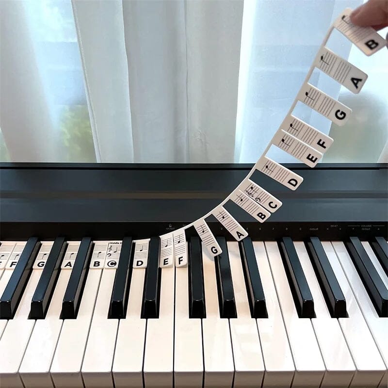 Etichette rimovibili per tasti di pianoforte KeyAssist per principianti
