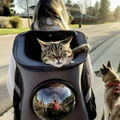 Zaino da Viaggio per Gatti di Taglia Grande, Ideale per Gatti in Movimento