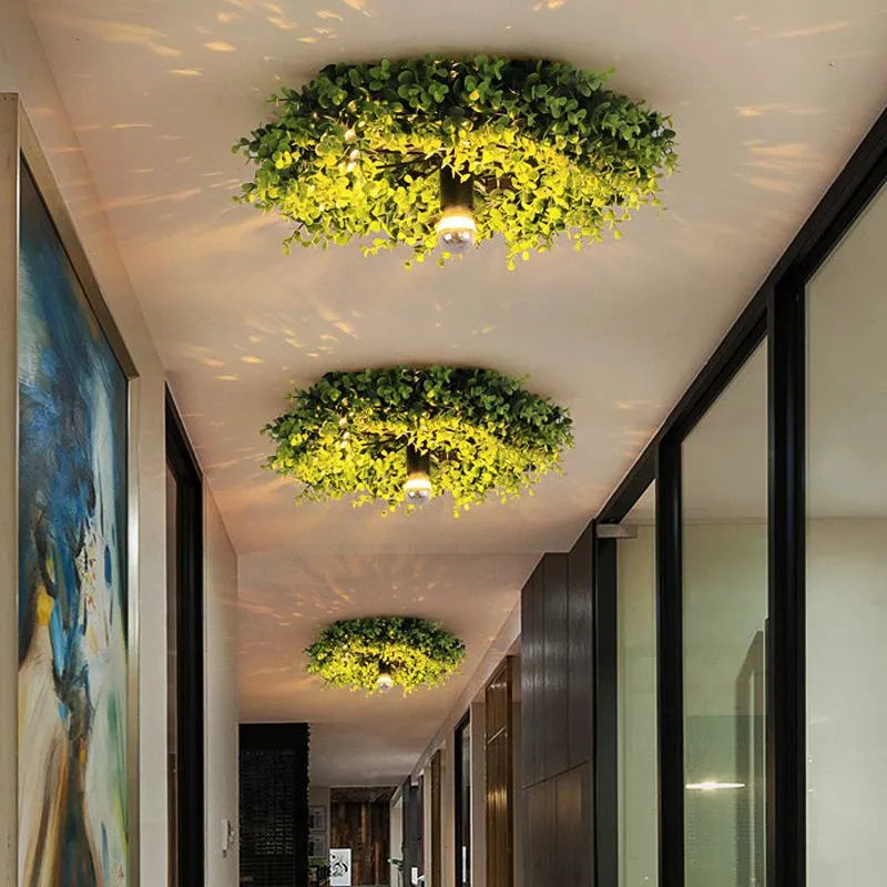 Arko Plant Ceiling Light