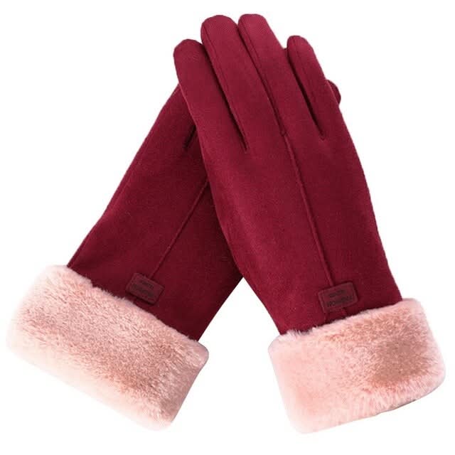 Guanti Invernali Impermeabili NordGlove con Touchscreen per Climi Freddi