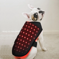 家用红外线光疗仪，适用于犬猫