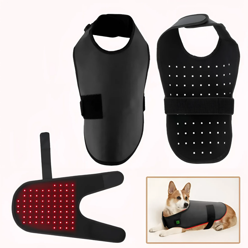 家用红外线光疗仪，适用于犬猫