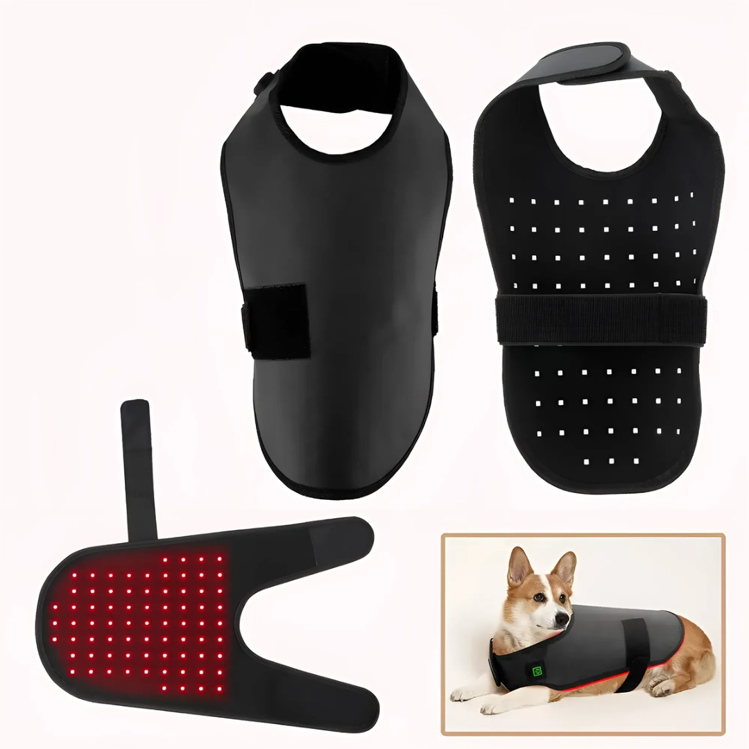 家用红外线光疗仪，适用于犬猫