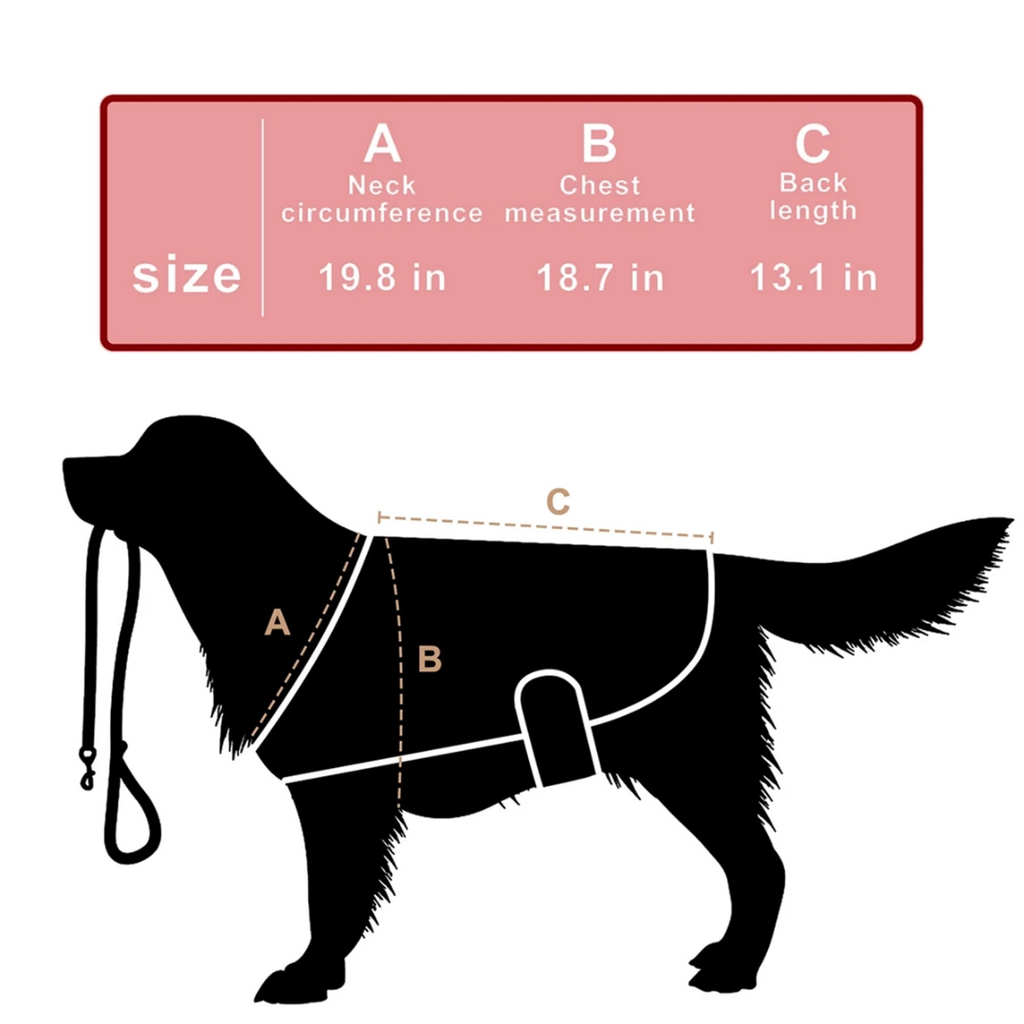 家用红外线光疗仪，适用于犬猫