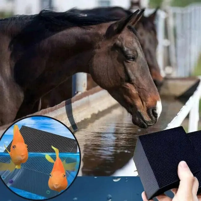 Purificador de Agua AquaCube para Ganado, Acuario y Abrevadero de Caballos