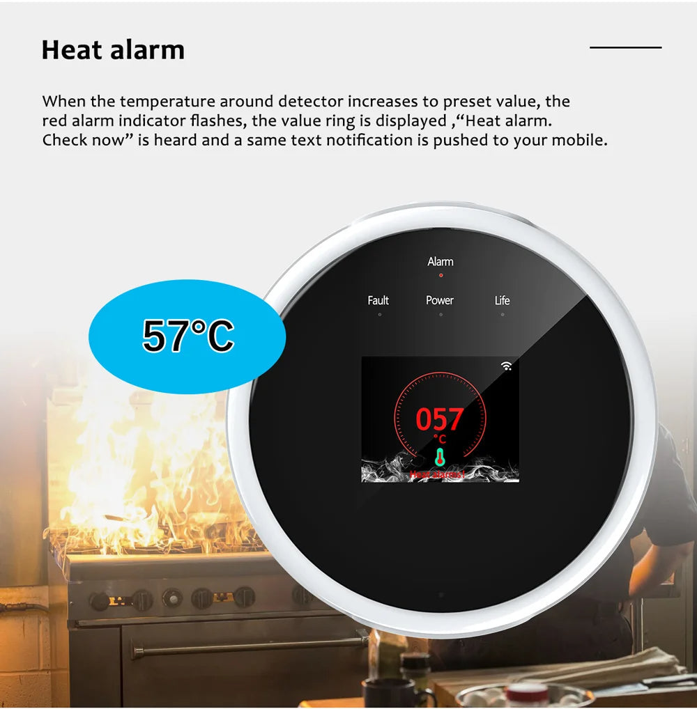 HomeSafe Sentinel: Combustible Gas Detectors With Alarm And LCD Display