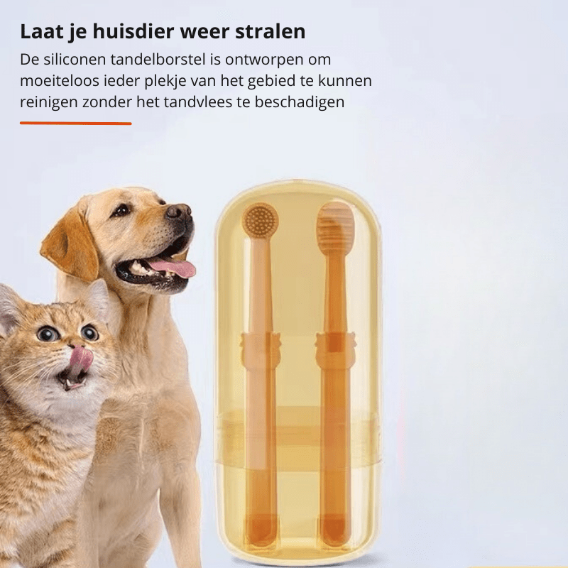 فرشاة أسنان سيليكون PetSmile للكلاب والقطط لإزالة البلاك بلطف