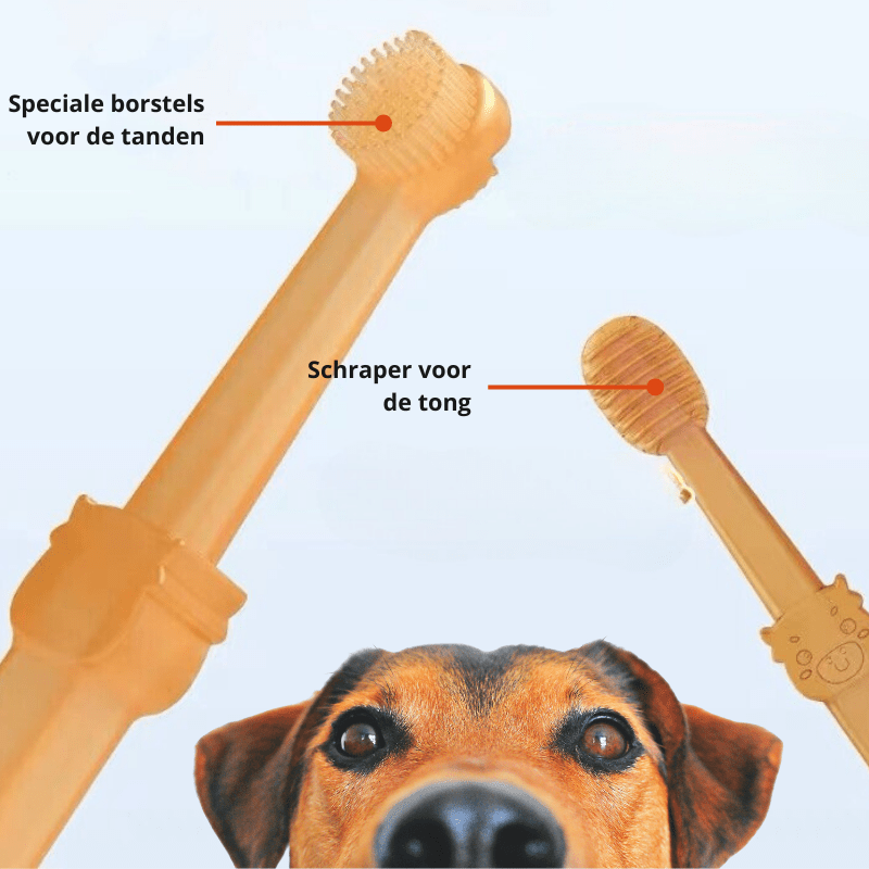 فرشاة أسنان سيليكون PetSmile للكلاب والقطط لإزالة البلاك بلطف