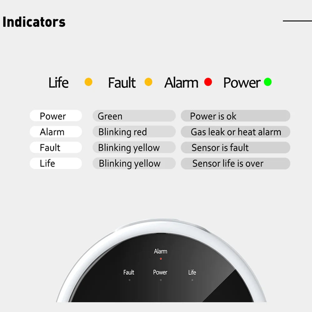 HomeSafe Sentinel: Combustible Gas Detectors With Alarm And LCD Display