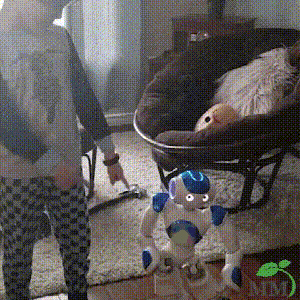 NovaLearn 儿童机器人玩具，带舞蹈和对话手势控制，可充电