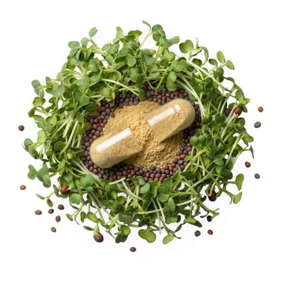 Capsule resting on a bed of fresh broccoli sprouts