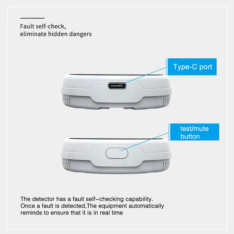 HomeSafe Sentinel: Combustible Gas Detectors With Alarm And LCD Display