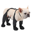 NovaPaw Hundeschuhe mit Trägern, Vollschutz und rutschfester Sohle