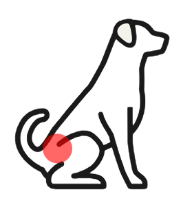 Dog outline with the hip area highlighted