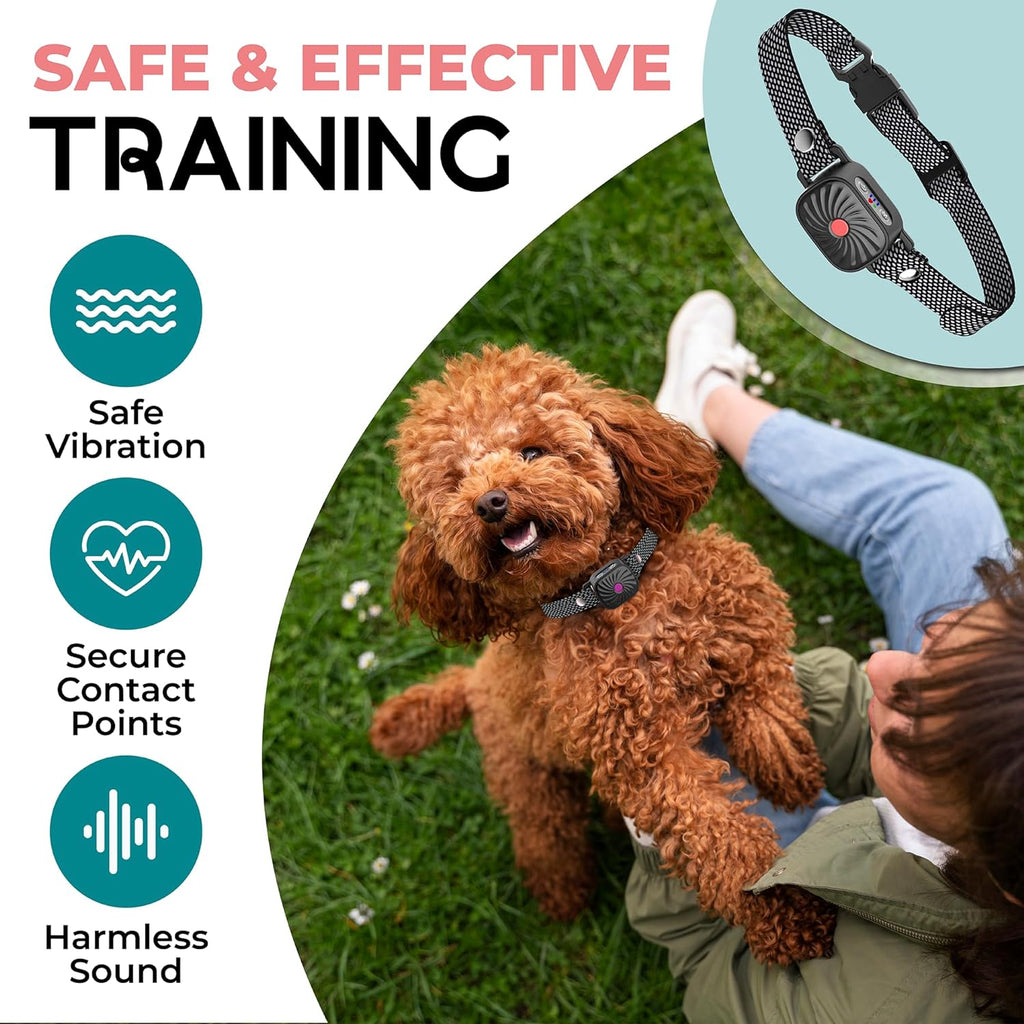 SereneGuard Anti Bark Collar For Small Dogs Official