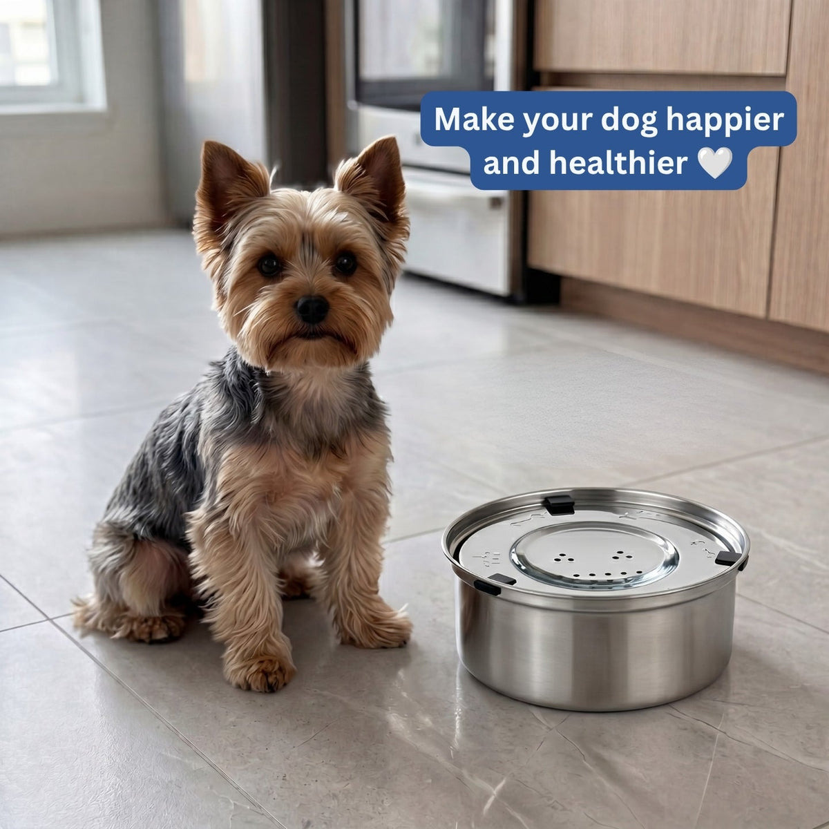 Anti-Spill Dog Water Bowl – Floating Disc, Stainless Steel, Non-Slip, 1 L & 3 L