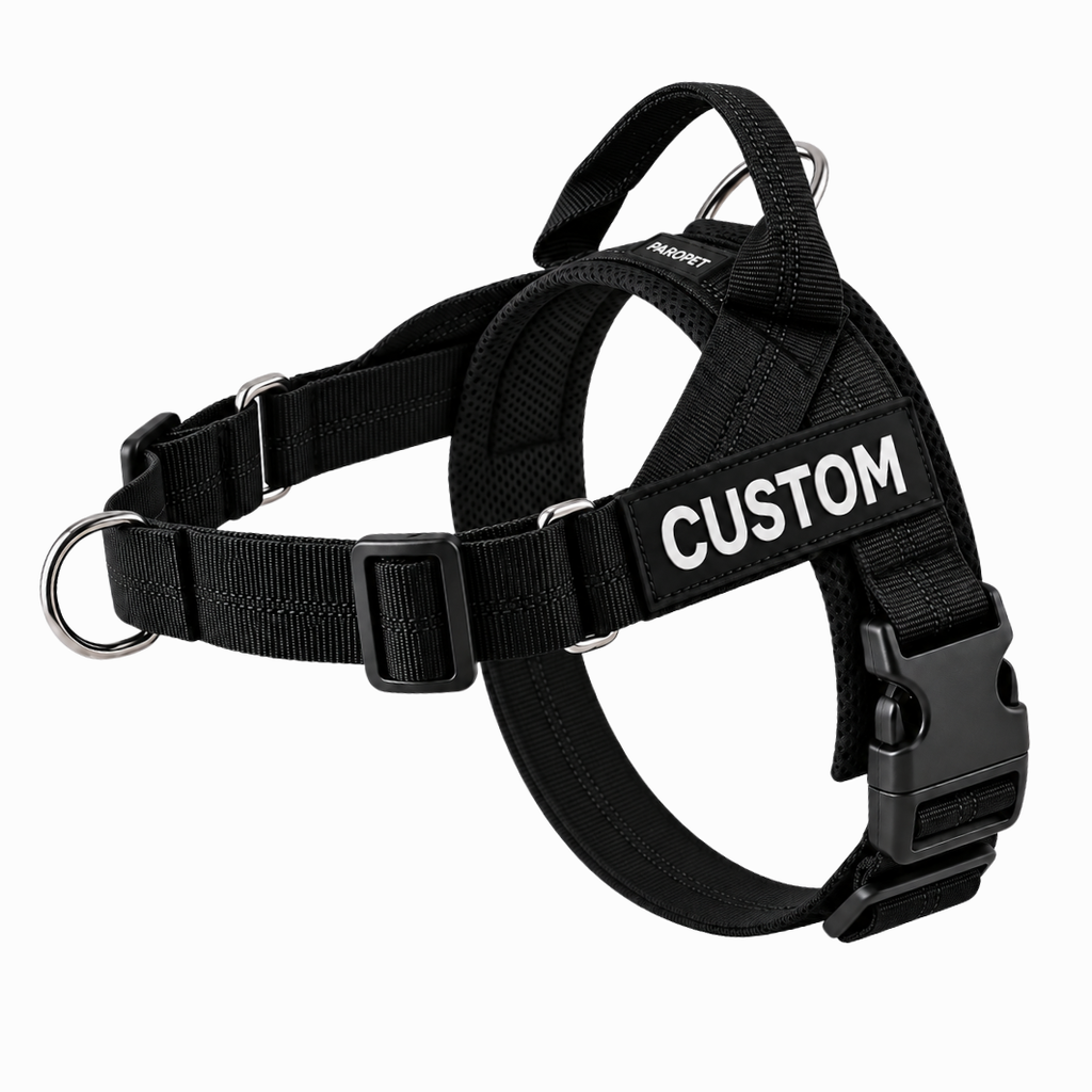Hundsele som motverkar drag – fäste fram och bak, handtag, justerbar, XS–XL
