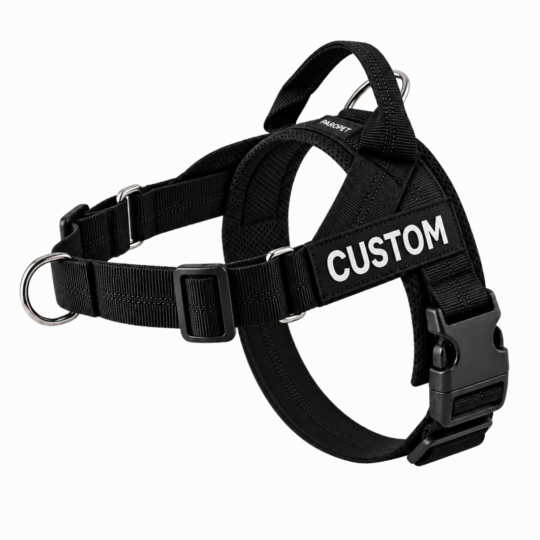 Hundsele som motverkar drag – fäste fram och bak, handtag, justerbar, XS–XL
