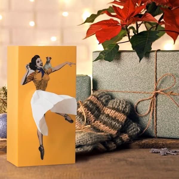 Boîte à mouchoirs ludique pour une décoration intérieure créative