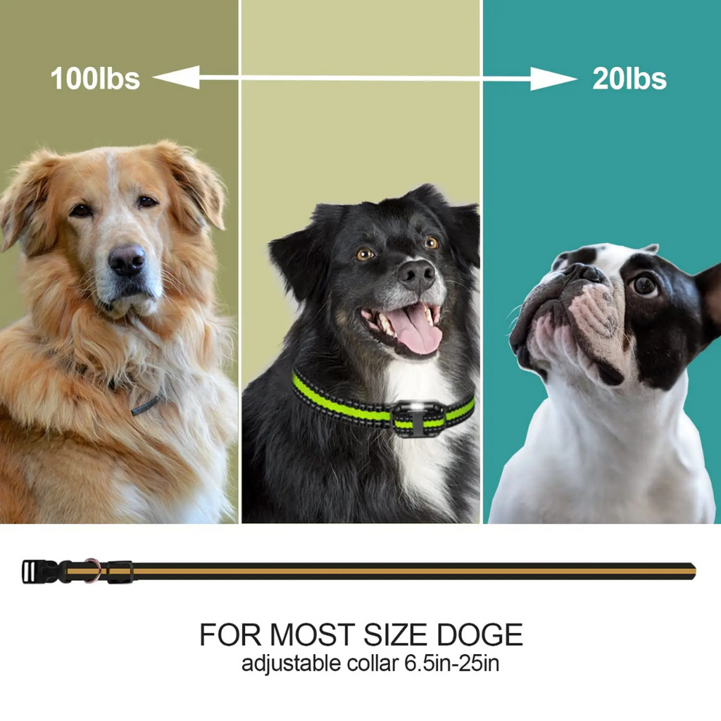 طوق تدريب الكلاب المتقدم مع جهاز تحكم عن بعد - 3 أوضاع تدريب (صفارة، اهتزاز، صدمة)