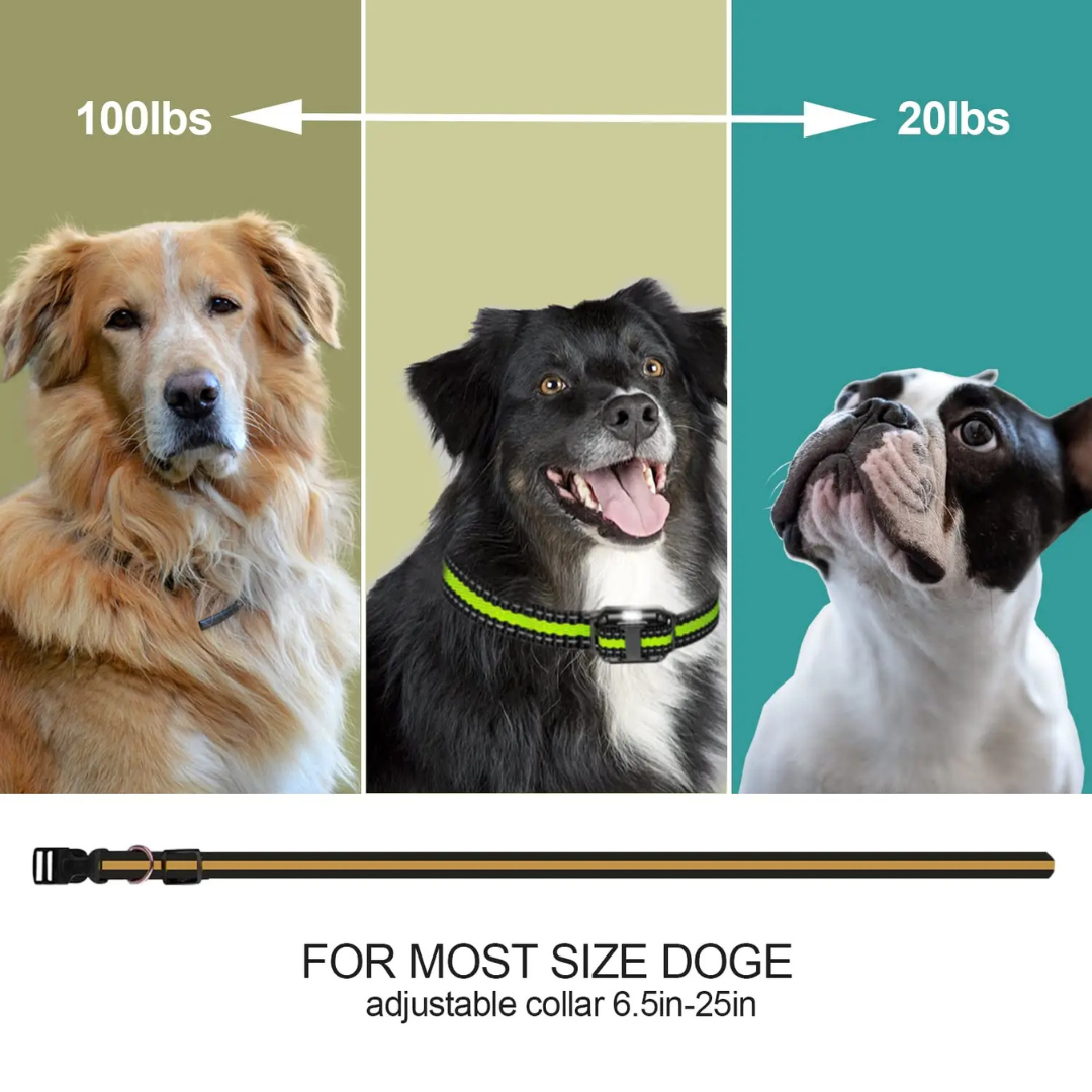 طوق تدريب الكلاب المتقدم مع جهاز تحكم عن بعد - 3 أوضاع تدريب (صفارة، اهتزاز، صدمة)