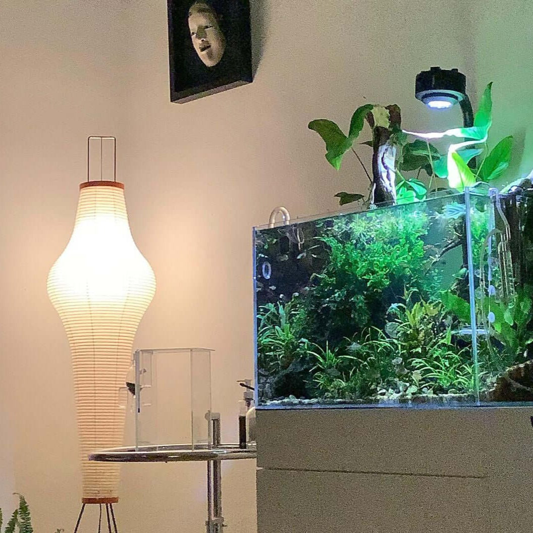 NovaLume Rispapir Gulvlampe Minimalistisk Design Tidløs Varme