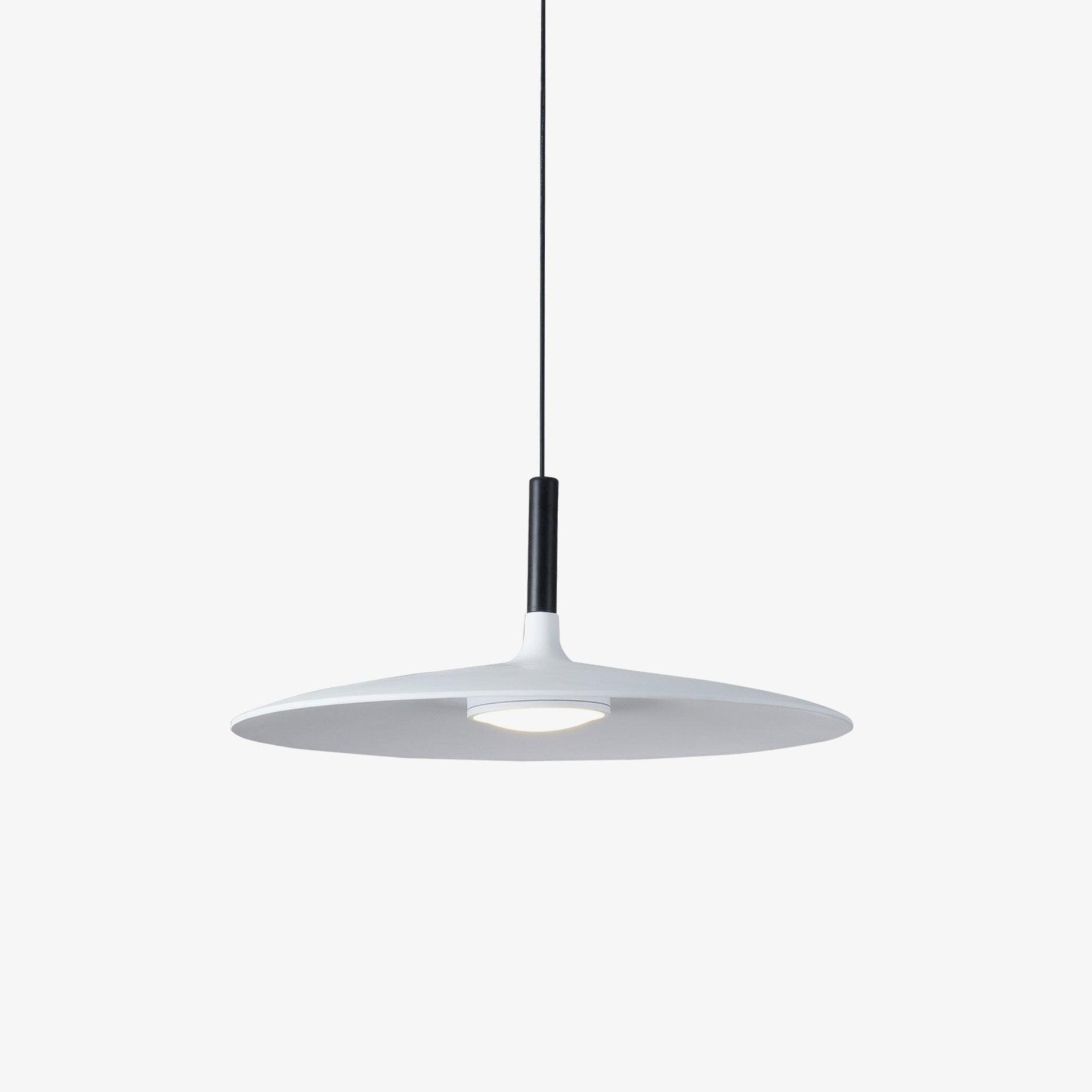 Aplomb Contemporary Metal Ceiling Pendant Lamp