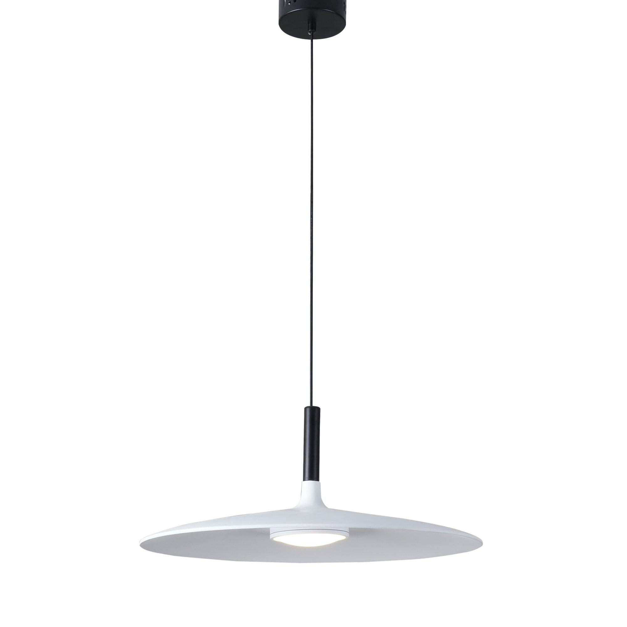 Aplomb Contemporary Metal Ceiling Pendant Lamp