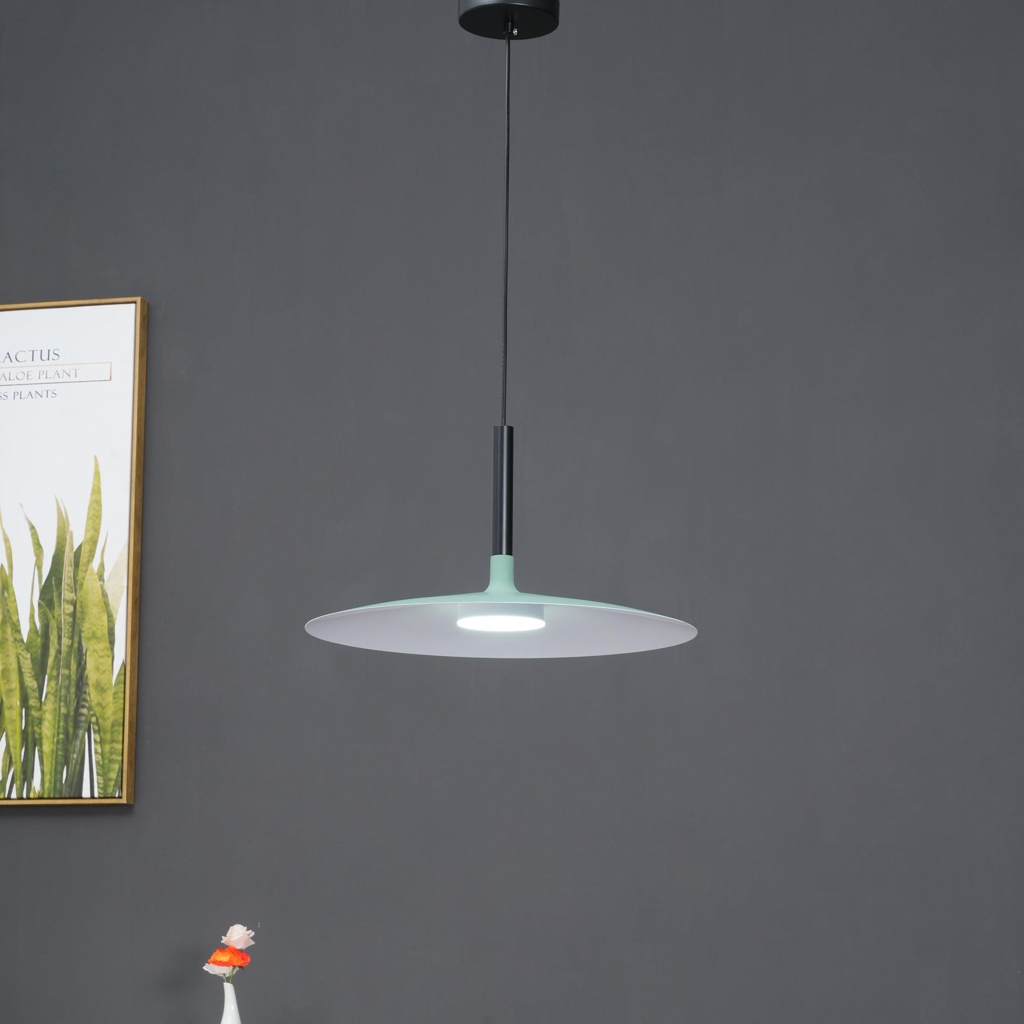 Aplomb Contemporary Metal Ceiling Pendant Lamp
